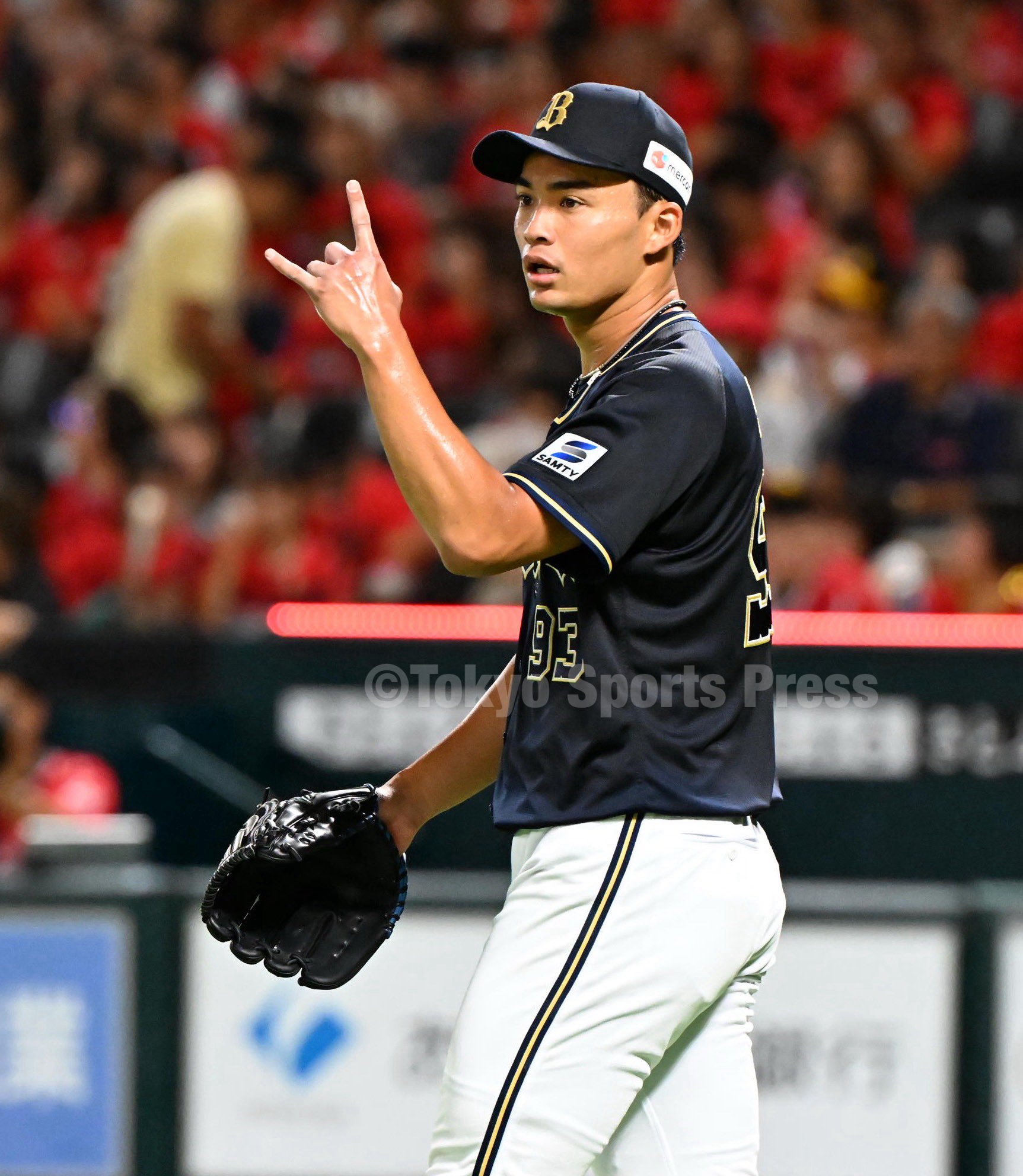 新品未開封　プロ野球JAPAN2001 jambalaya_24dobp2-htc11