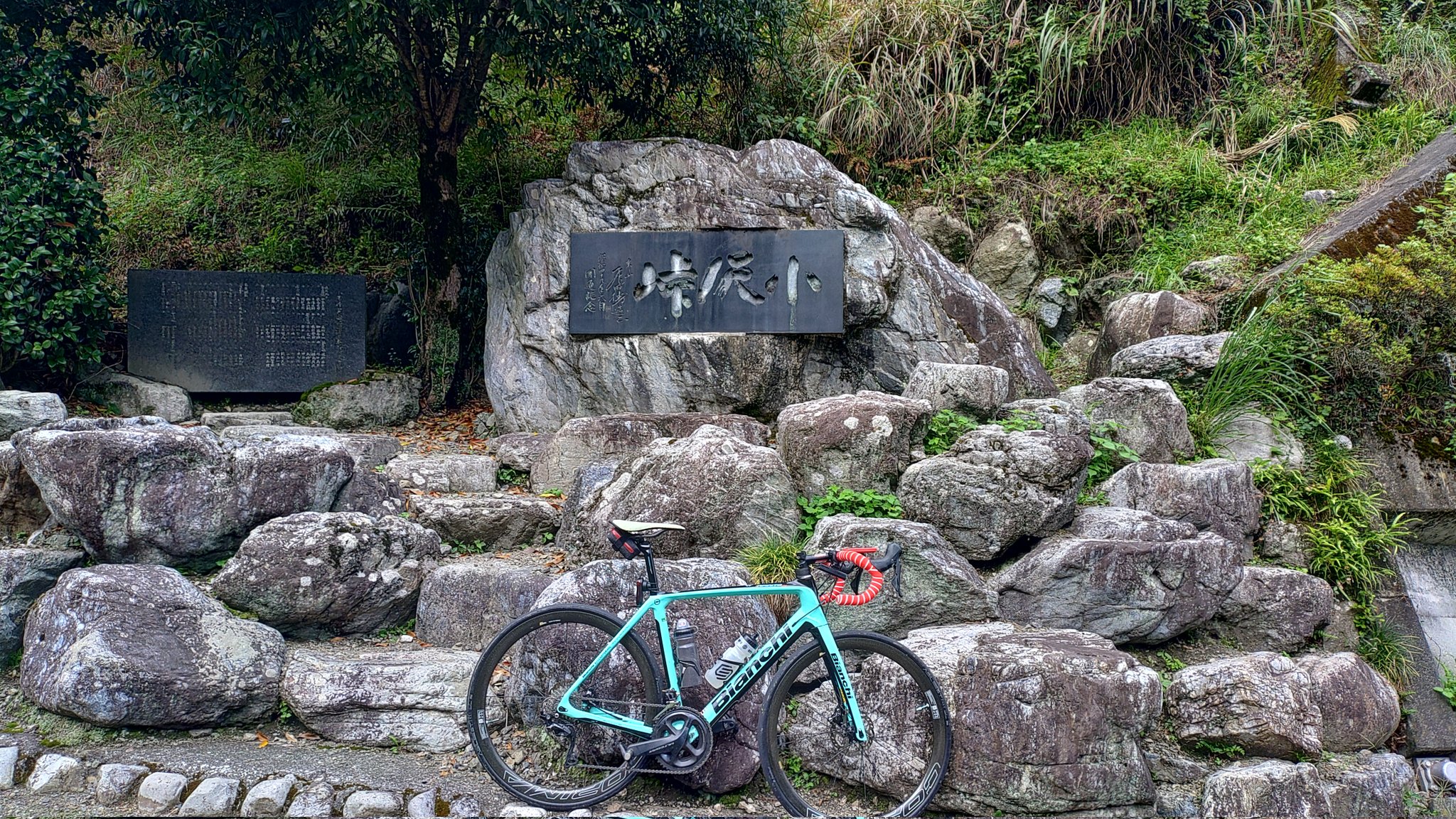 アルパカ (@kentar0) / X