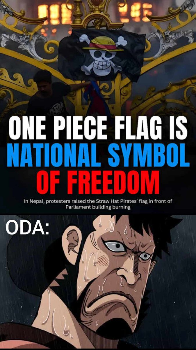 The Will of Marco (マルコの意志) tweet media