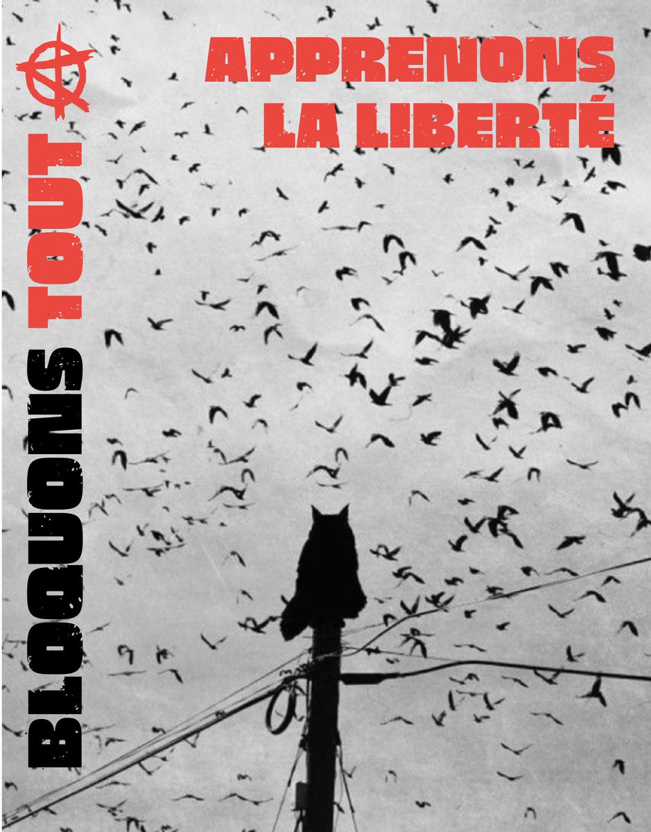 #BloquonsTout Apprenons la liberté  😘✊🐈‍⬛🏴
#18septembre #10septembre