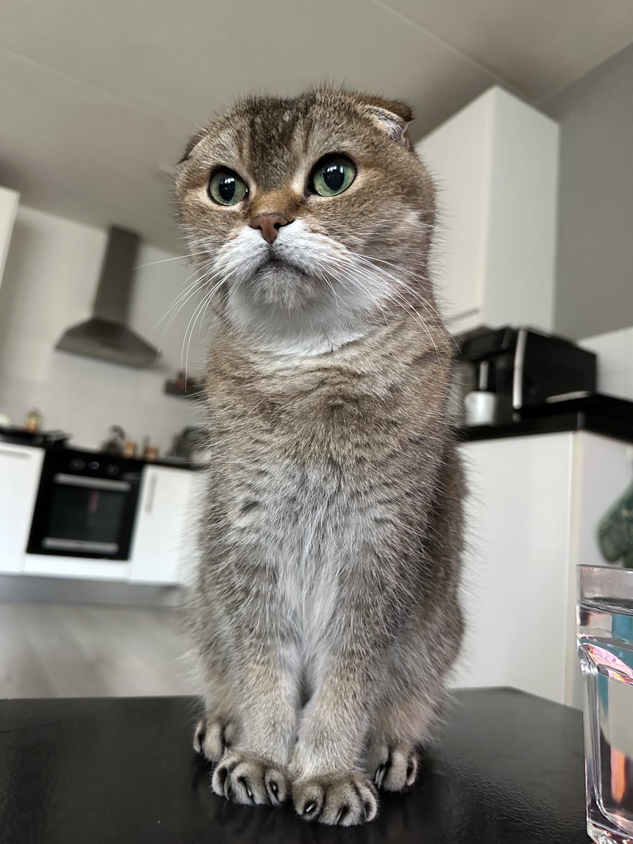 Do you think humum noticed I wanted a bit of her tuna sandwich?