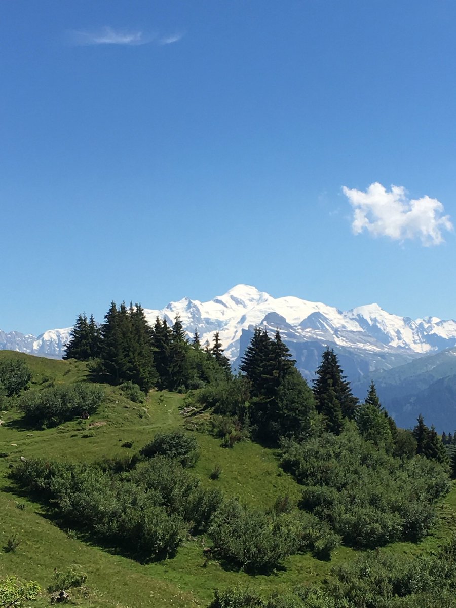 Pierce de Trift tweet media