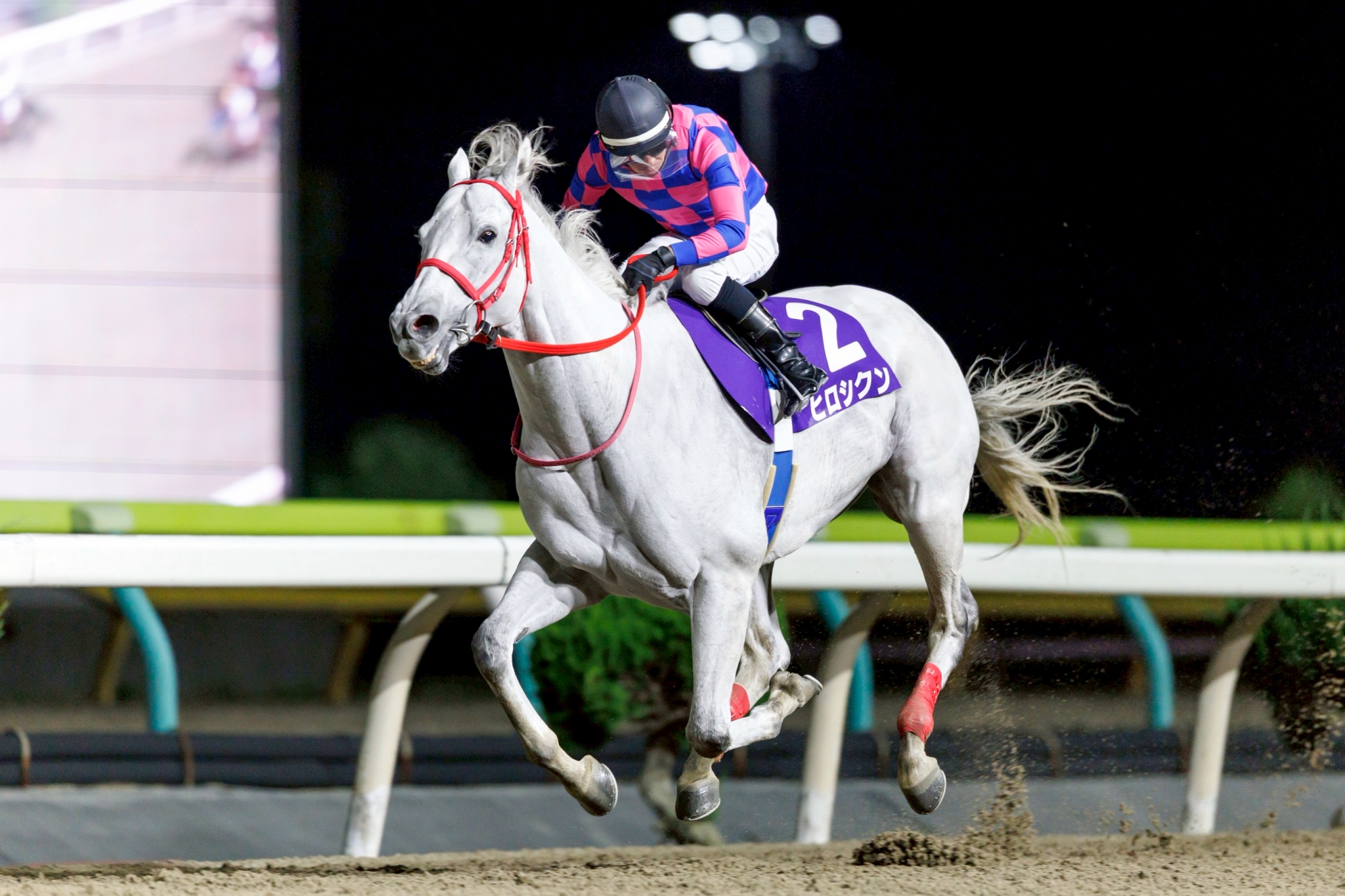競走馬成績書22冊セット　地方競馬全国協会 地方競馬全国協会のプレスリリース｜PR TIMES