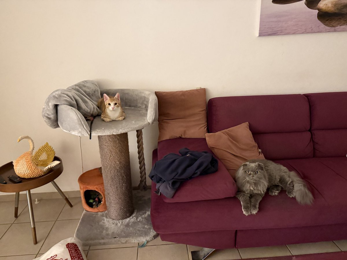 קרוסאובר אפיסוד