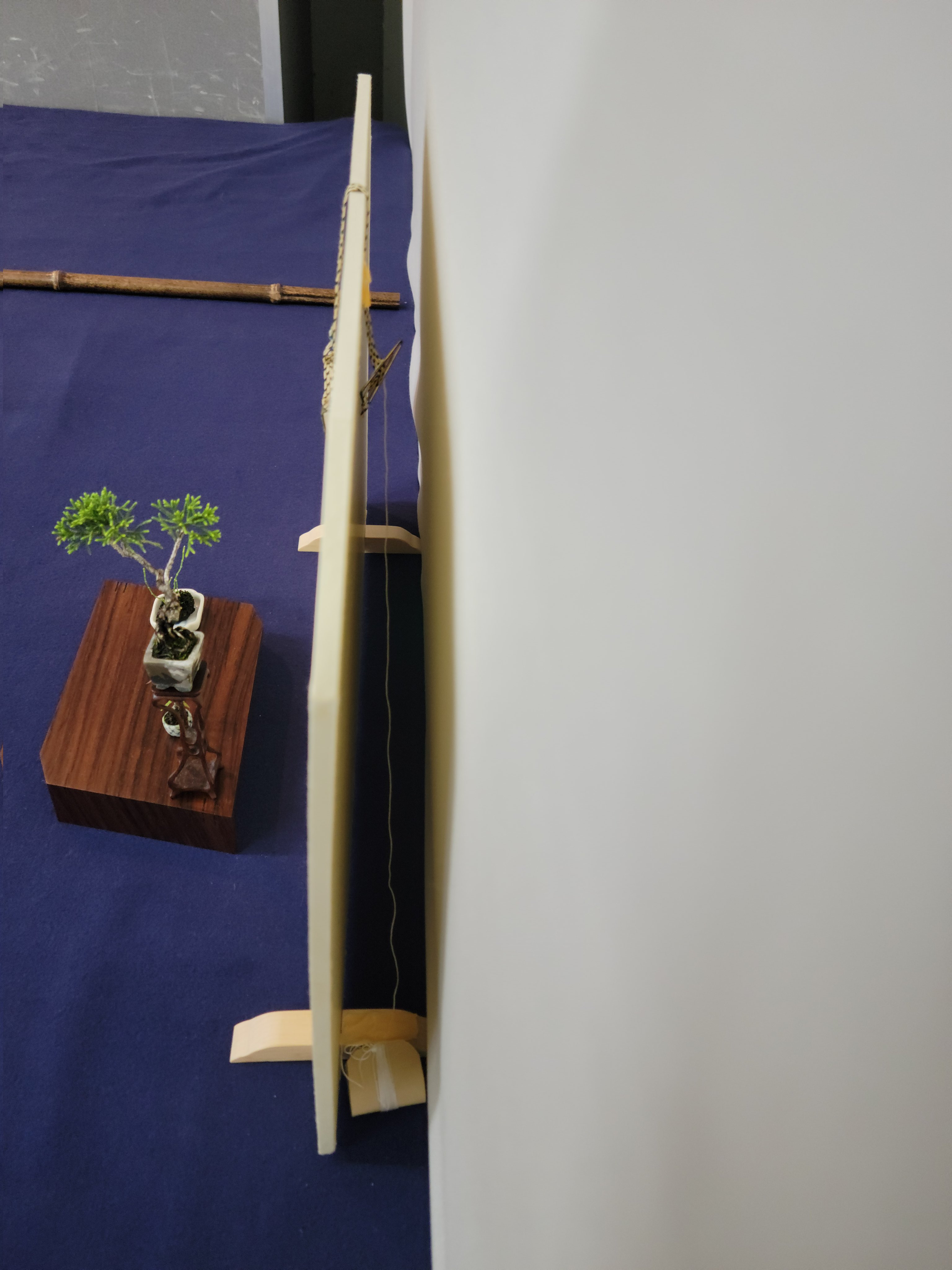 豊田紅陽作　お雛掛け軸 掛軸 (掛け軸) 春用 桃花に小鳥 緒方葉水 尺五立 約横54.5cm×縦