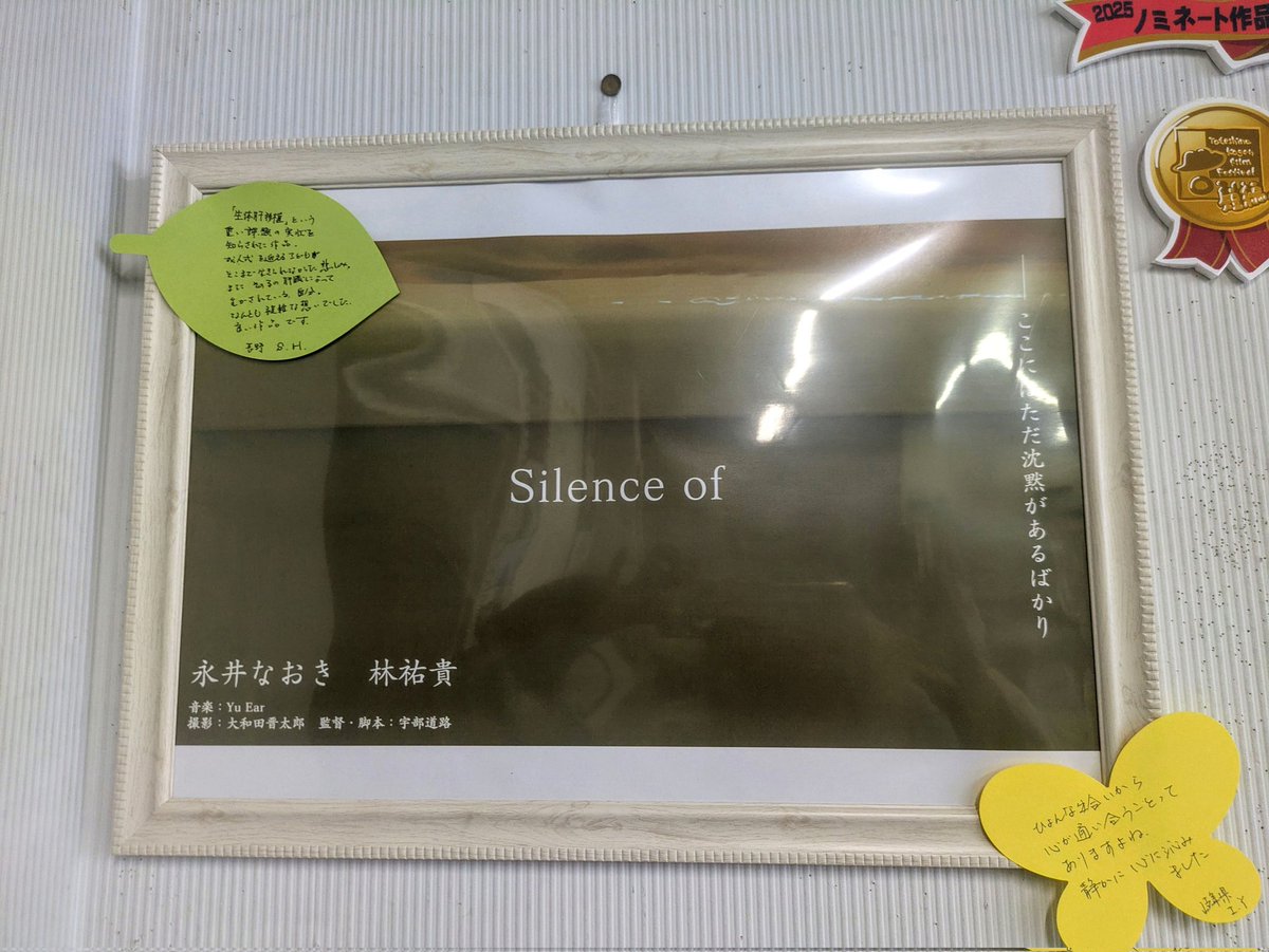 みこわん🐼🌟野犬の子🌟 tweet media