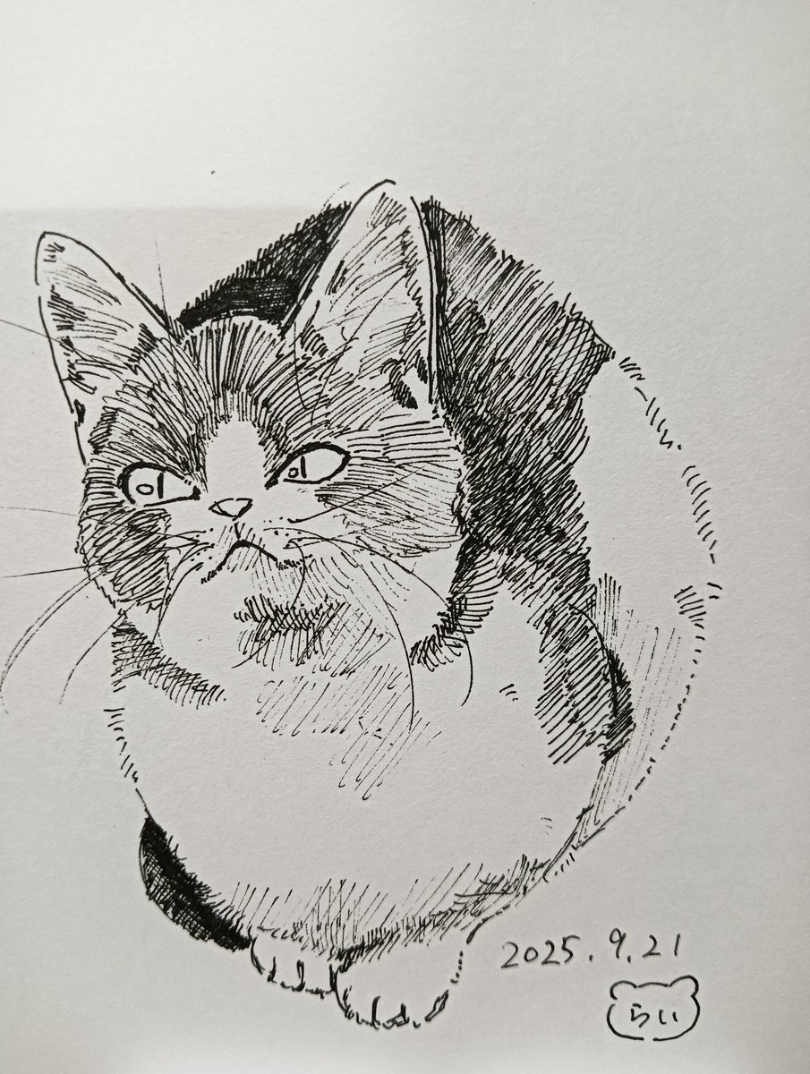 43.ねこ〜〜
#ペン画
#ねこ
