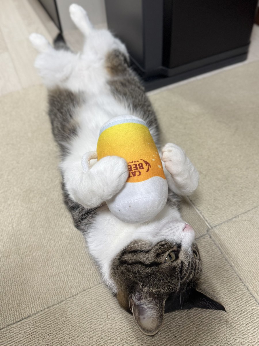 ぎんねこページ おまとめ ねこぺん日和 まるごとレターブック」が4/9に発売！(小学館