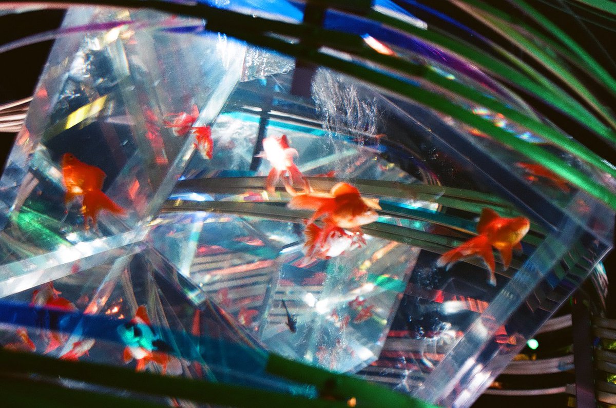 Nikon FE
Nikkor 35mm f2