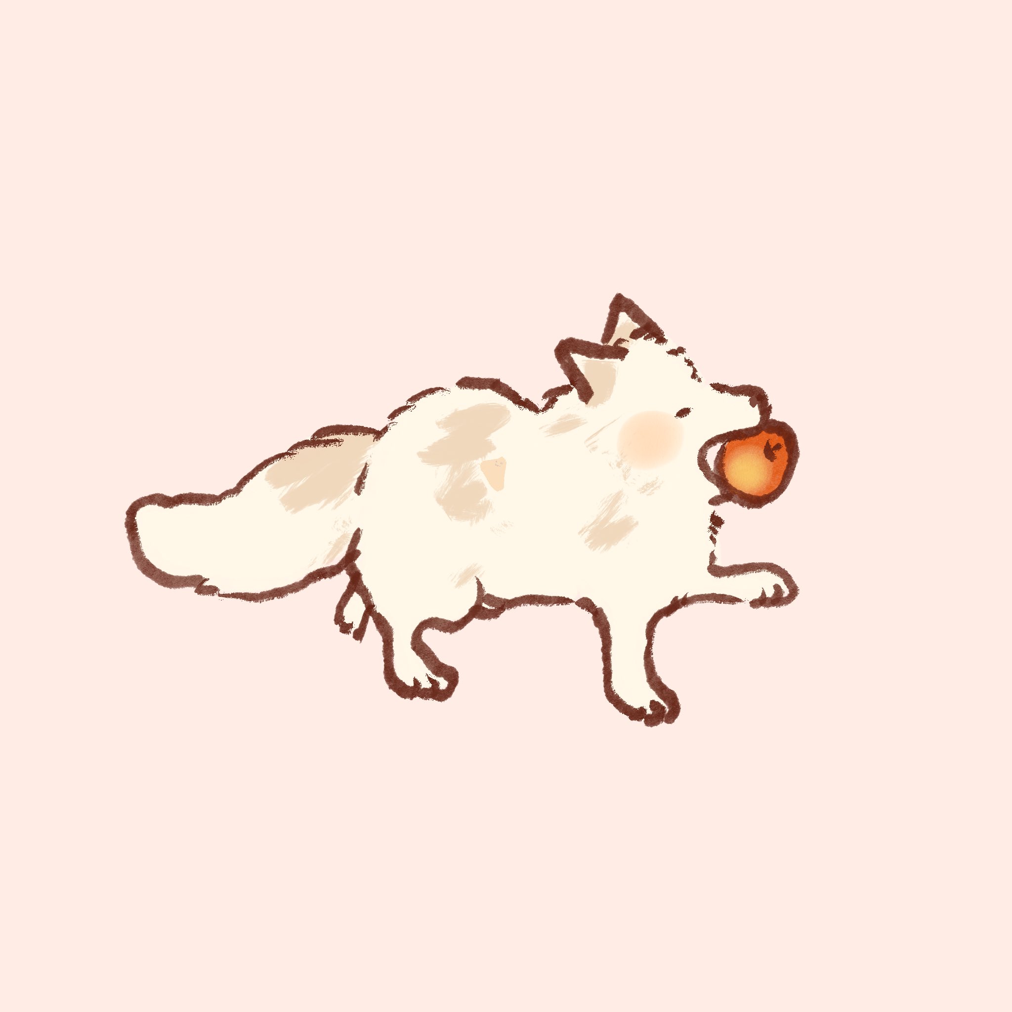 りんごちゃん りんごちゃん🍎
