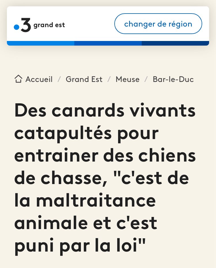 RigauxNature's tweet image. « Ce n’est pas pour le plaisir que nous faisons ça » disait l’organisatrice, bah faut pas se forcer 

france3-regions.franceinfo.fr/grand-est/meus…