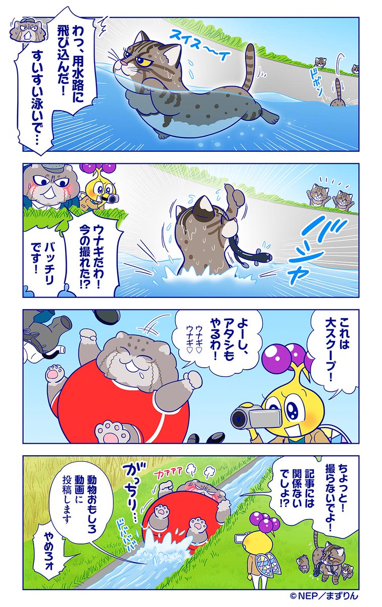 ダーウィンが来た! ダーウィンが来たDVDブック22 - メルカリ