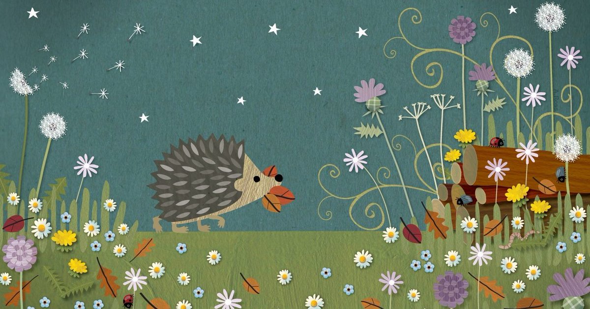 Hedgehog Society tweet media