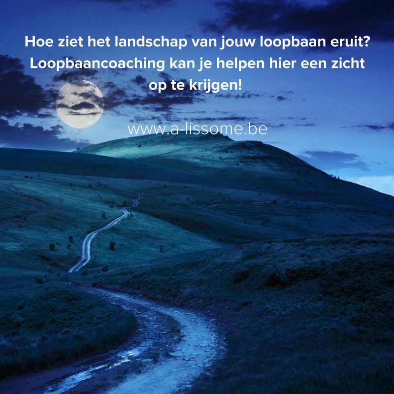 AliesQuaegebeur's tweet image. Verdwaald in je carrièrepad? 🧭
#Loopbaancoaching geeft je terug zicht en richting!

#GeefVleugelsAanJeLoopbaan