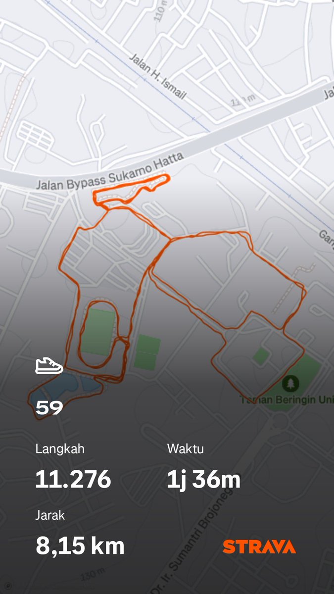 oreo_frapp's tweet image. 11k step 🙌