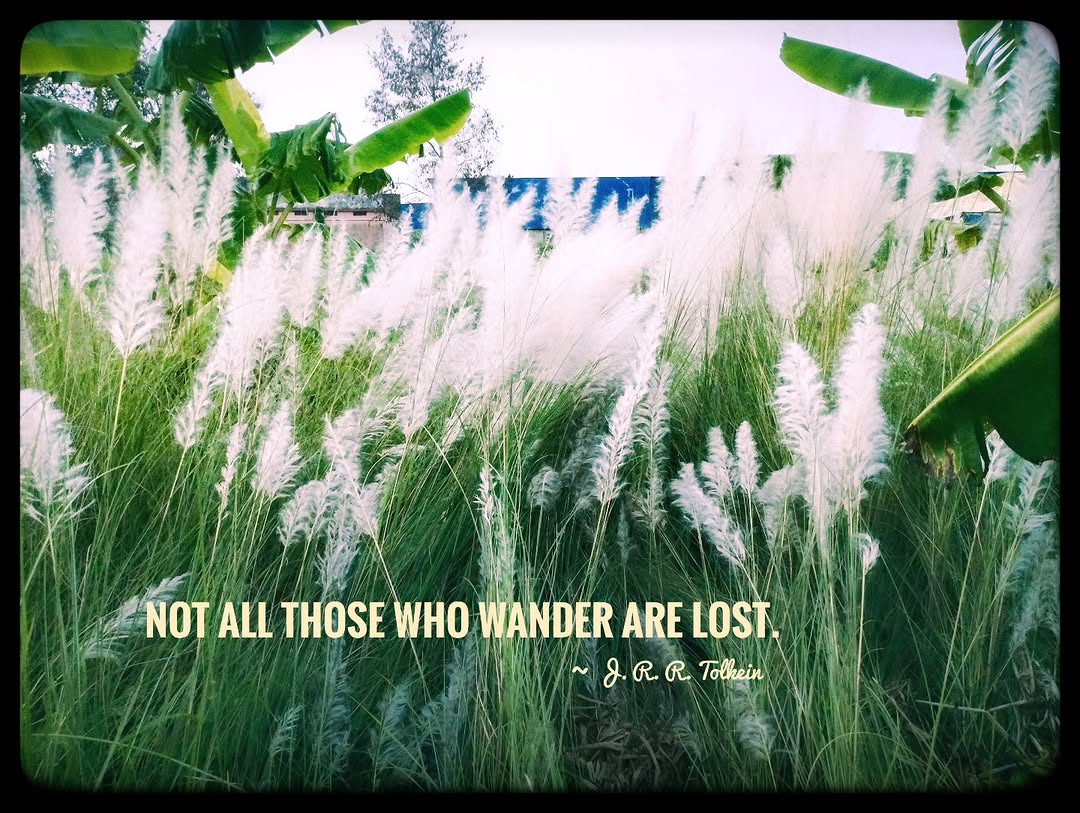 69_labs's tweet photo. Not all those who wander are lost.
~ J. R. R. Tolkein

Captured &amp; crafted by @aetherflowlabs

#mobilephotography #landscapephotography #naturephotography #photoediting #darktable #snapseed #lightroom #photoshop #photoediting #flowerphotography #mahalaya #durgapuja #trending #fyp https://t.co/wAbkvNEFLT