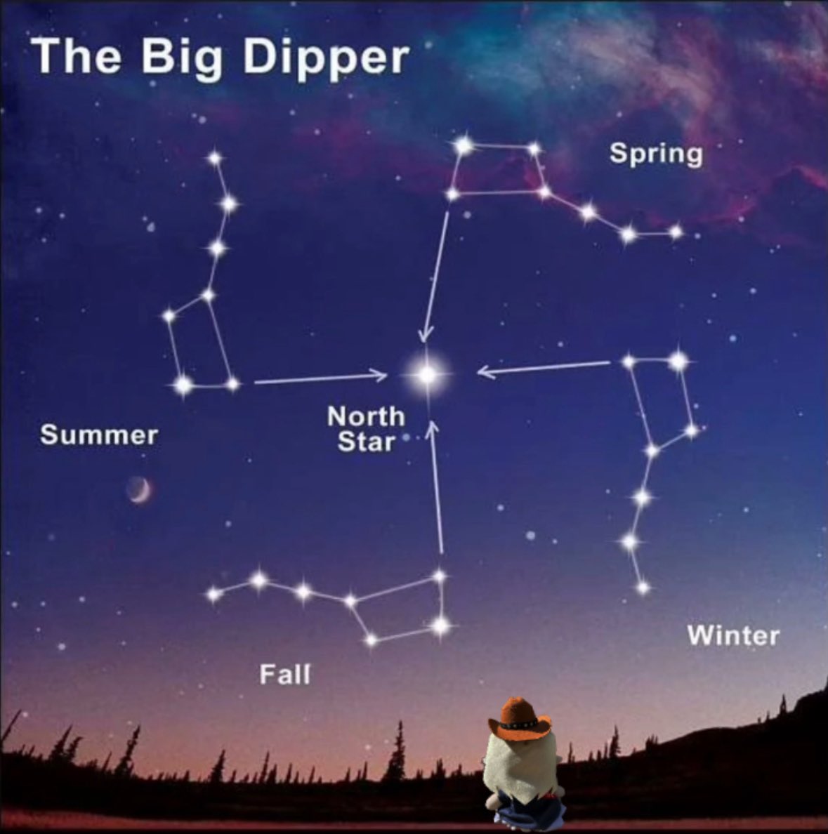 Milady loves astronomy ✨ 🔭 ✨