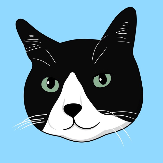 TURKEY FOR CHRISTMAS tweet media