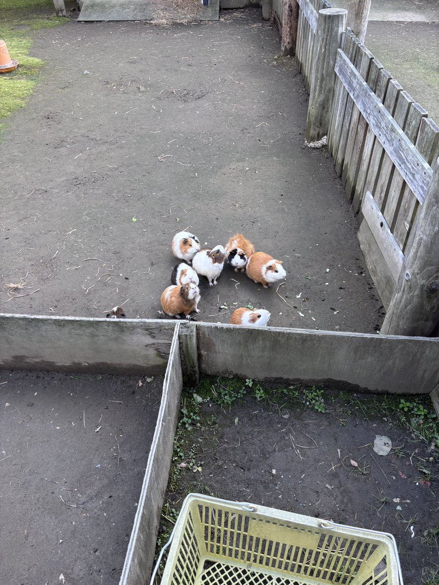 だれもいない稚内動物ふれあいランド
モルモットと、壊れて5分おきにアンパンマンマーチが流れるバッテリーカー。

稚内すごい気に入ってしまって、次は長期で滞在したい！