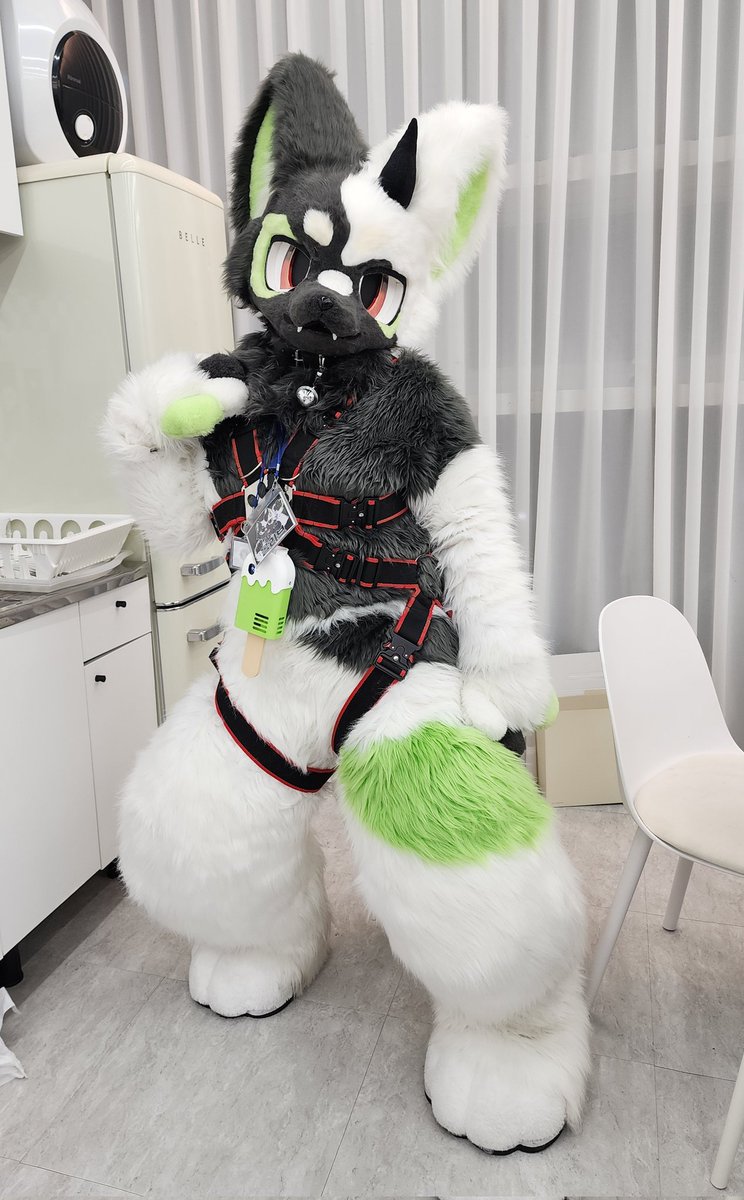 어때? 내 패션😎