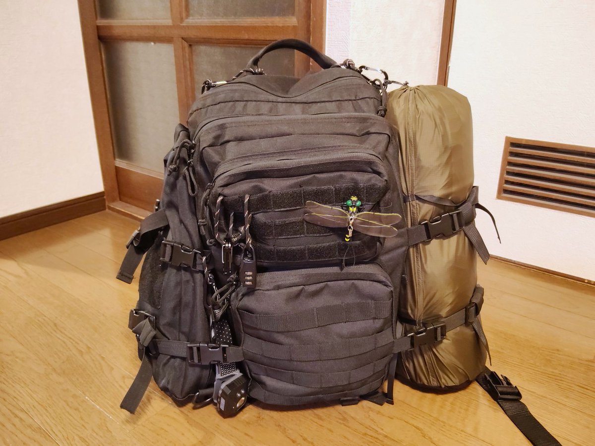 camp.tomG tweet media