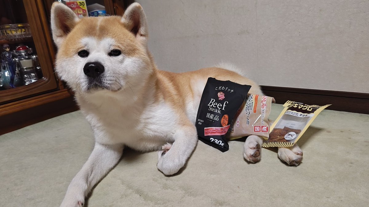 秋田犬のむう太🐶 on X: 
