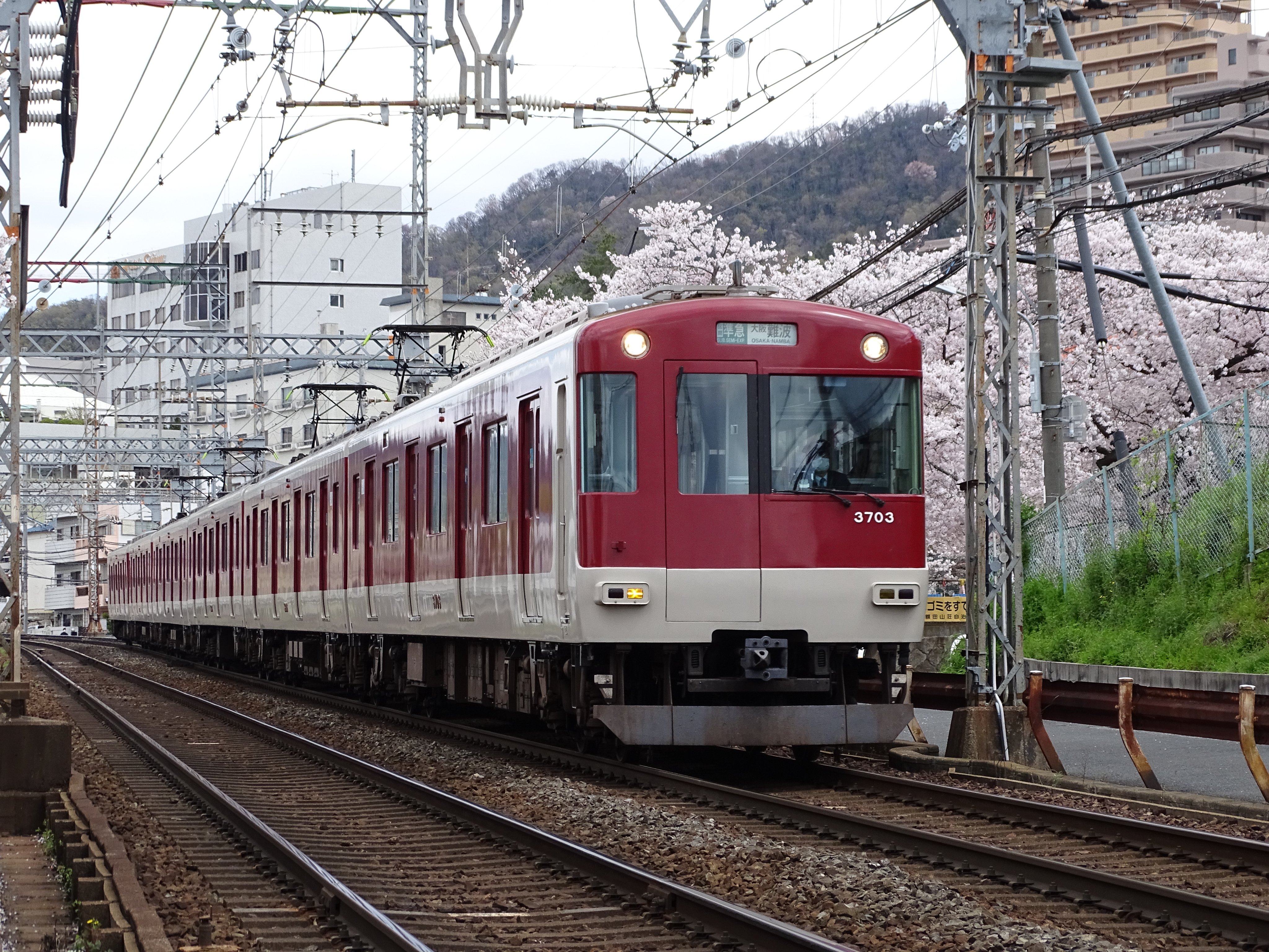 【梅に鶯】大橋、川島、井岡、柴田パンフレット7冊 梅に鶯】大橋、川島、井岡、柴田パンフレット7冊 パンフレット