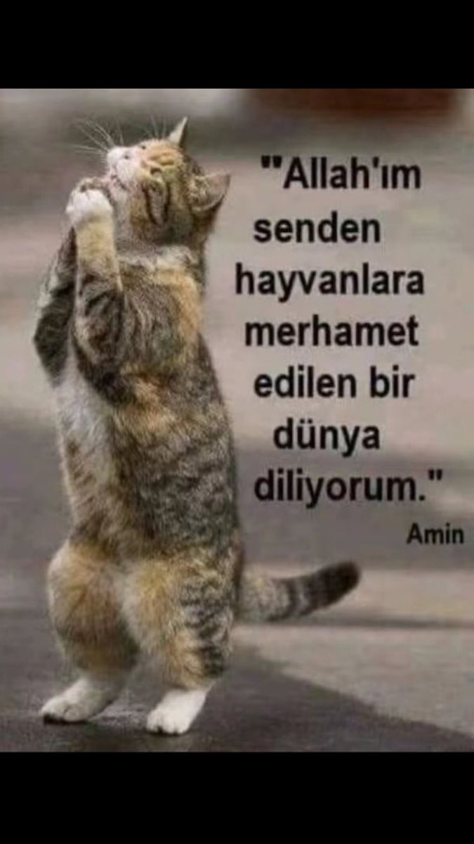 halise_coskun's tweet photo. .🕊🐈😥🐕‍🦺
…
Bir suç işlemedikleri halde
ceza evi yaşayan tek varlıklar
hayvanlardır.
  Herkesin herşeyden
haberdar olup,
hiç bir şey yapmadığı,
her şeyle dayınışma içinde görünüp
yerinden bile kıpırdamadığı
bir dünyada yaşıyoruz.#JBaudrillard
…
#SokakHayvanlarınıToplama
#Yasa⁉️ https://t.co/FYRkJ2Qfut