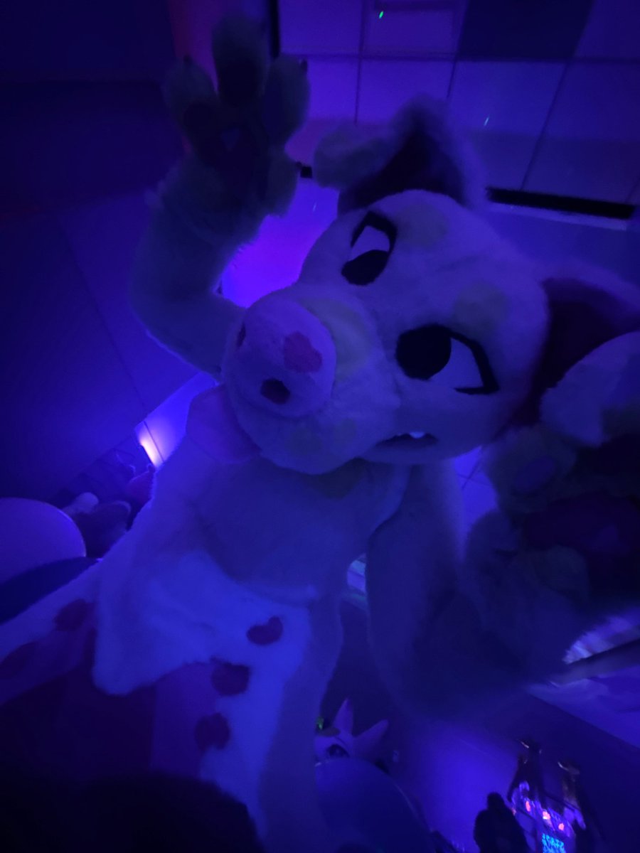 I fursuited til 4am and waddled my ass to the motel 6 and TOOK A SHOWER only real ones get it ✌︎('ω')✌︎