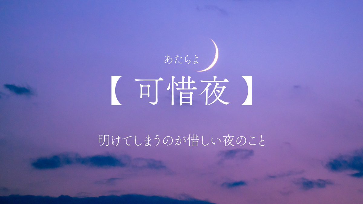 浅夏レイ -言の葉収集家- tweet media