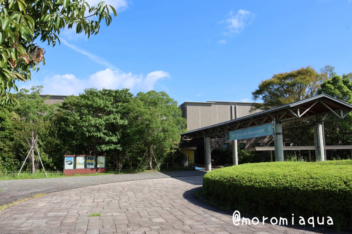 moromiaqua's tweet photo. 今日は滋賀県の 滋賀県立 #琵琶湖博物館 と京都府の #京都水族館 へ行きました。
琵琶湖博物館は水槽展示だけじゃなくて博物館展示もボリューム満点で想定よりも長く滞在しちゃいました。
京都水族館はとにかく綺麗な水族館で、規模はあまり大きくないけど満足度が高かったです。ライトアップも綺麗✨ https://t.co/iqnosKElZ8
