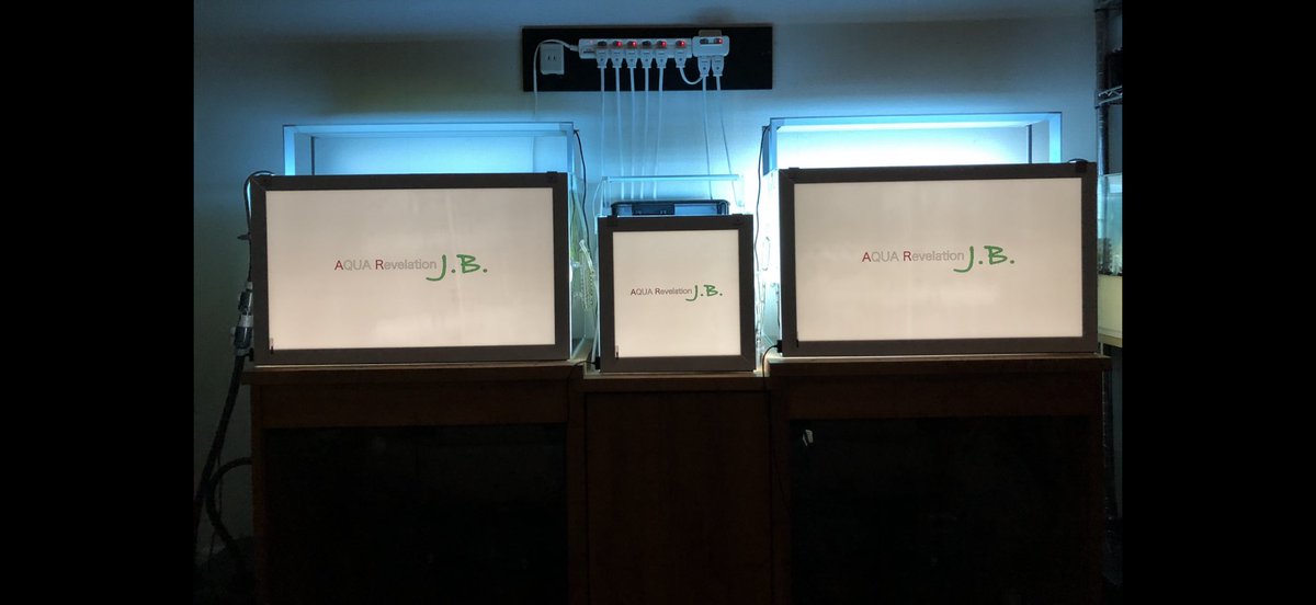 dunhill25981718's tweet image. ＃JB
#AQUArevelationJB
#lightscreen