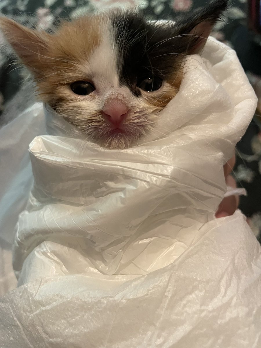 Şey ben banyo yaptım da
Beni bu evden acil kurtarır mısınız lüdven