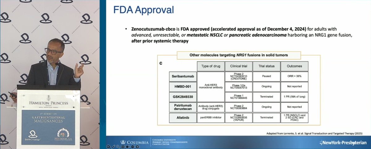 DAVAOnc's tweet image. Zenocutuzumab is a bispecific antibody blocking HER2-HER3 heterodimerization in NRG1+ cancers. Dr. @DrGManji from @ColumbiaMed discussed its activity in pancreatic cancer and recent FDA approval for use in NRG1 fusion+ PDAC. #DAVAGI