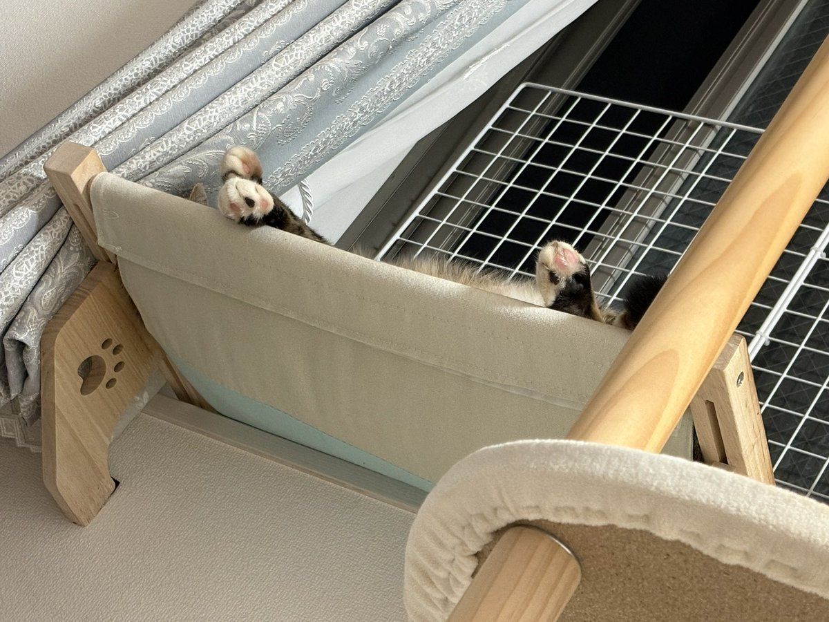 あゆページ m.ayu | 暗髪平成ギャルayu🤎🤍🌺 #浜崎あゆみ好きな人と繋がり