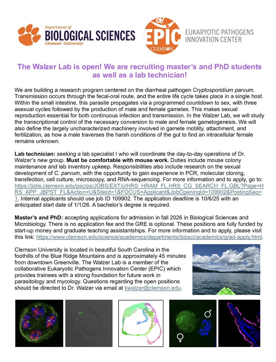 Master's and PhD: accepting applications for admission in fall 2026 in Biological Sciences and Microbiology. There is no application fee and the GRE is optional. These positions are fully funded by start-up money and graduate teaching assistantships. For more information and to