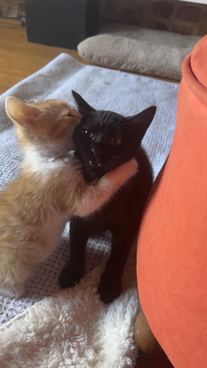 Ben ; Abi alkolü bıraktım. 
Tekel Faruk abi ;