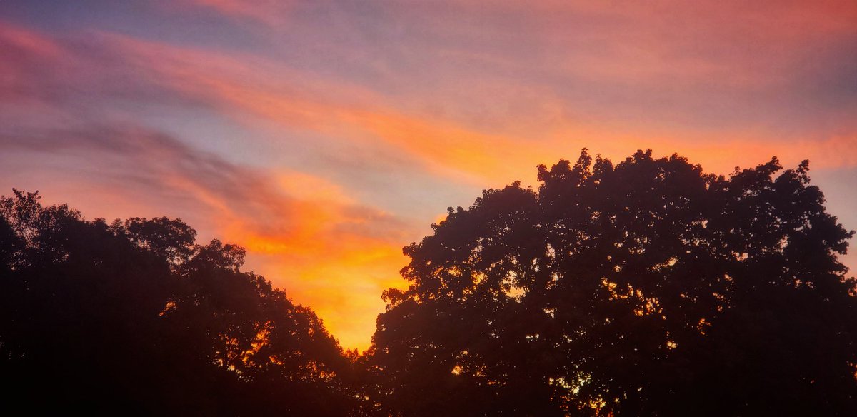 Sapo Man Photography 😃 tweet media