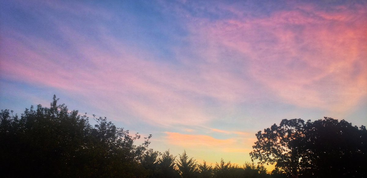 Sapo Man Photography 😃 tweet media