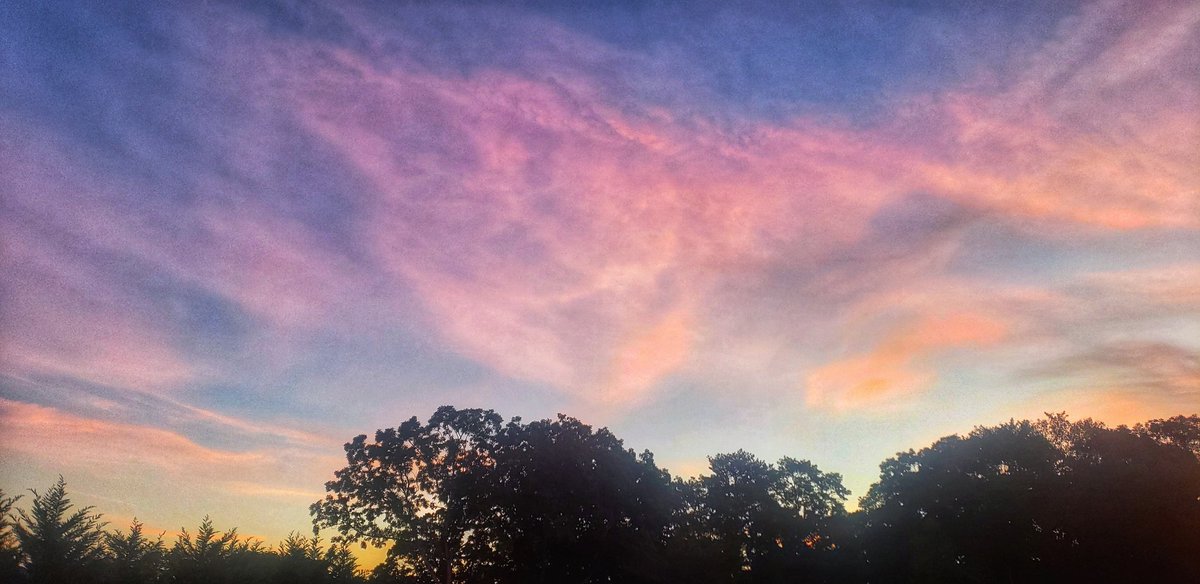 Sapo Man Photography 😃 tweet media