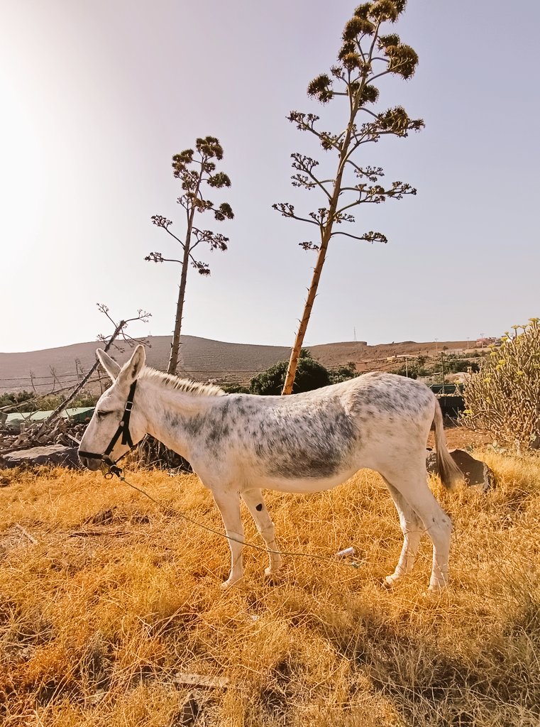 " Dar el salto a los pueblos está en tus manos "  pontesuzapato.wordpress.com