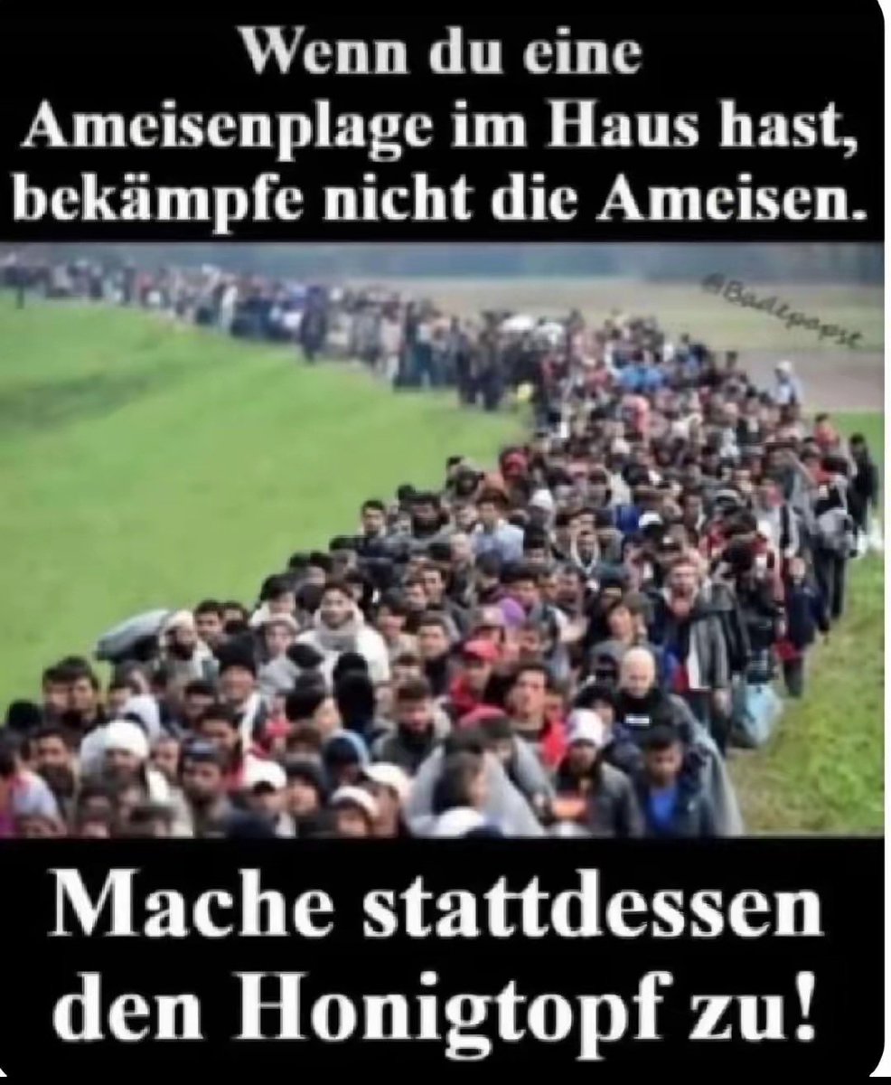 Noch eine kleine stinkige Weisheit von der Ratte 😇😁🐀
Satire ⚠️