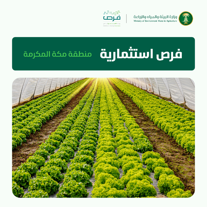 MEWA_KSA's tweet photo. تعلن الوزارة عن طرح عدة فرص استثمارية في منطقة مكة المكرمة، بهدف الحفاظ على الغطاء النباتي وتنميته، والمساهمة بتحقيق الأمن الغذائي.