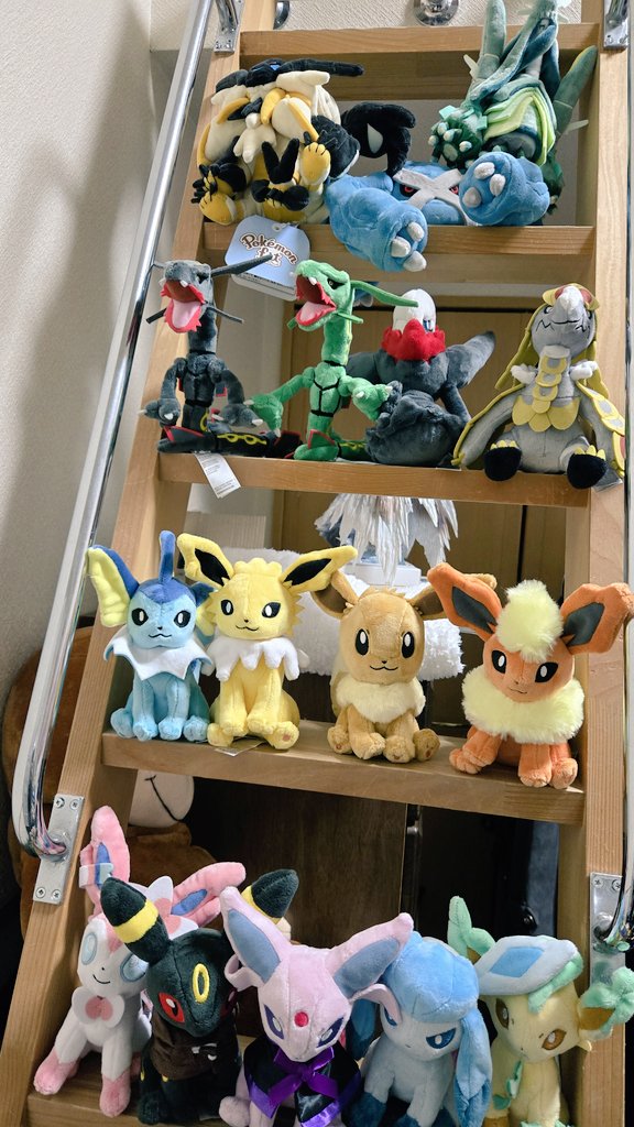 全員ではないけど、我が家の家族達🤗✨

#ポケモンfit
#ポケモンfitのある暮らし