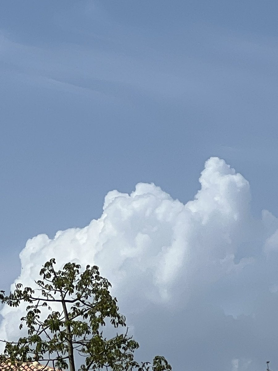 Ya tenemos los desarrollos que dejarán tormentas sobre sierra de las nieves ☔️⛈️