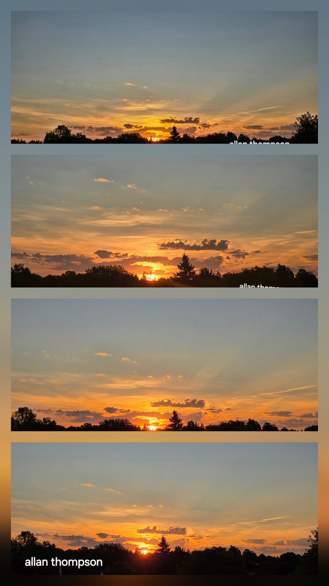 Allan Thompson tweet media