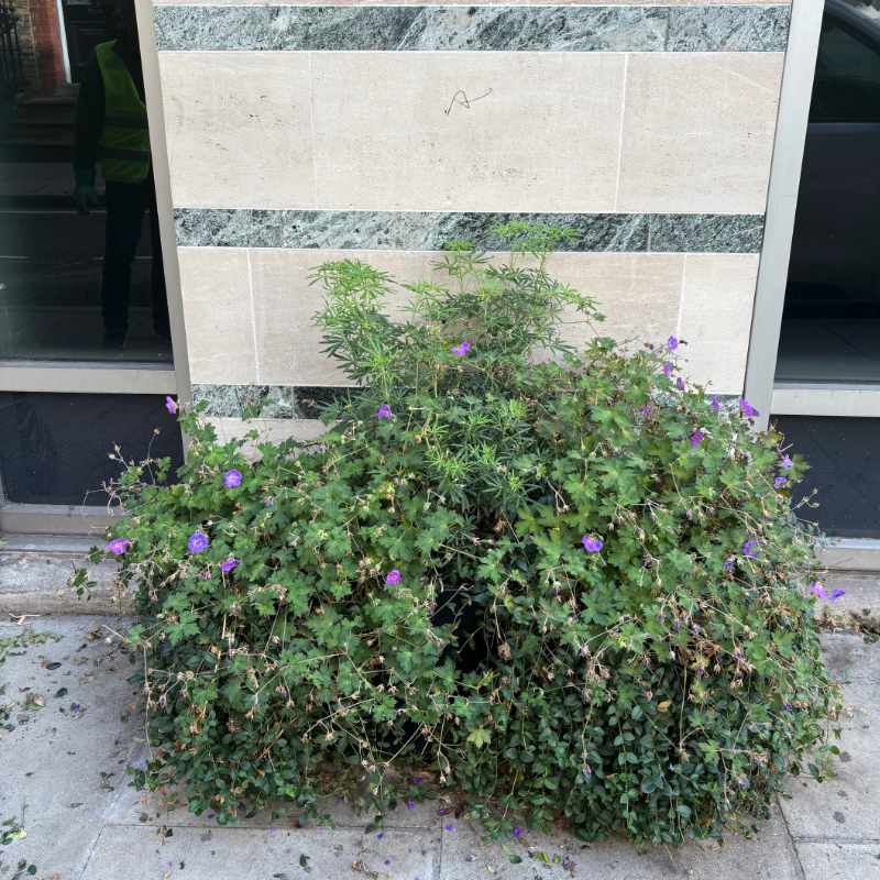 FitzWest tweet media