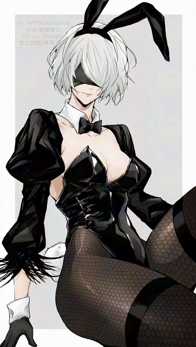 2B🐰