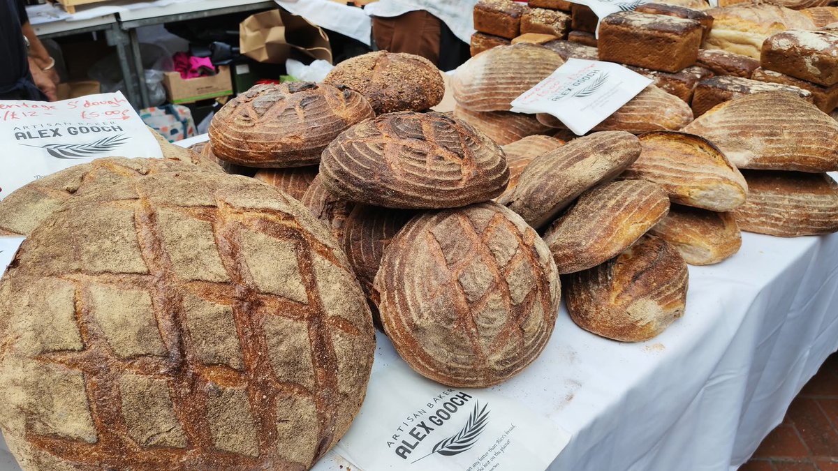 Katharine Skellon tweet media