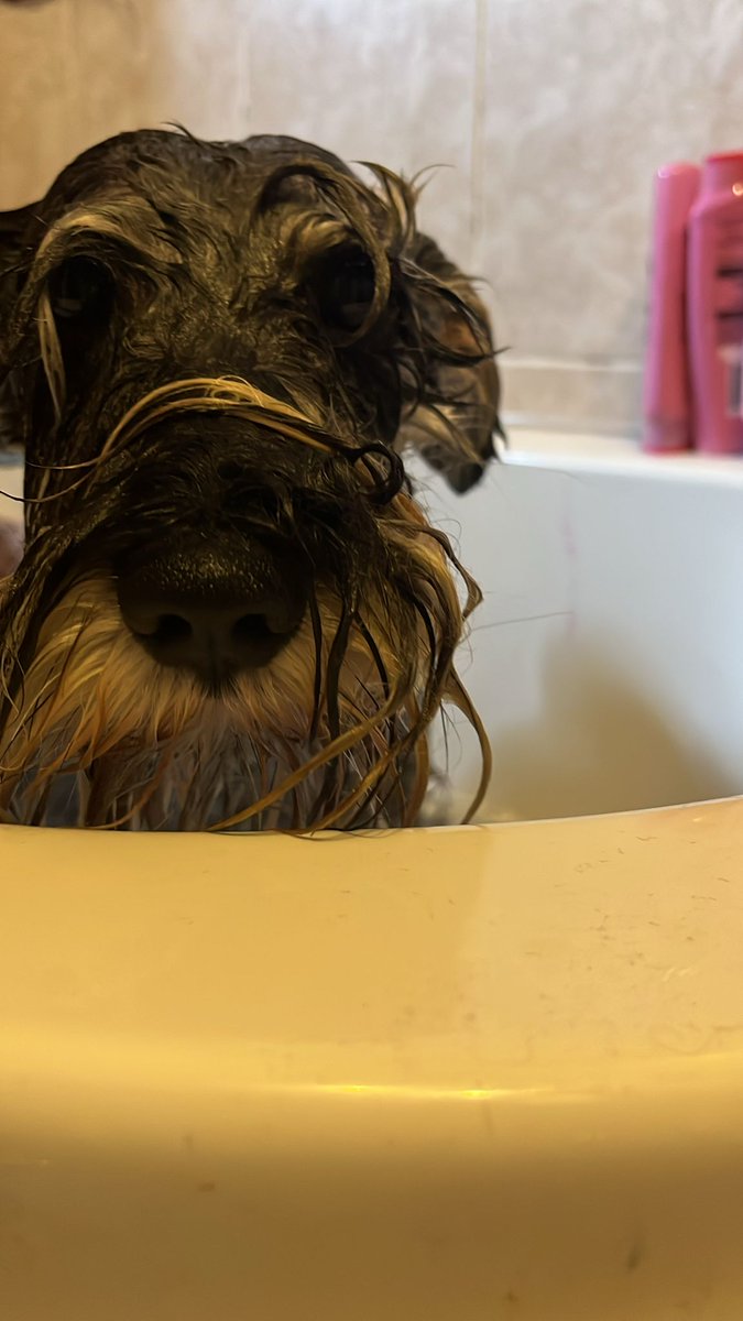 Sending for some helpz plz palz <a href="/bemorebob2/">BeMoreBob</a> #bobagainstbaths  #ralphagainstbaths